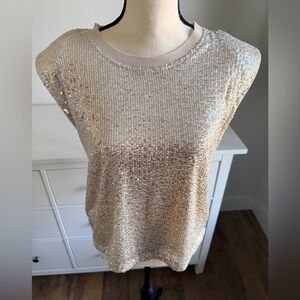 Aqua Sequin Cap Sleeve Blouse